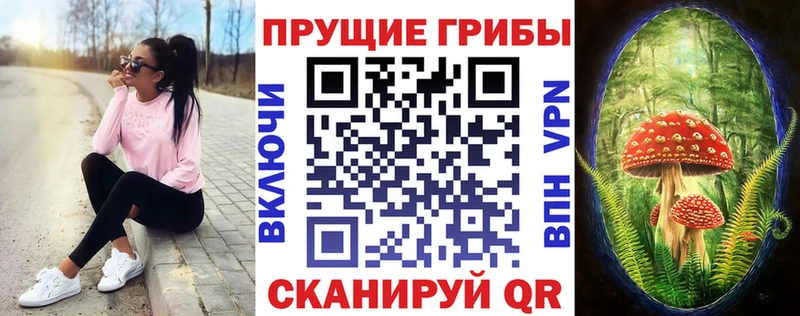 Галлюциногенные грибы мицелий  гидра сайт  Петухово 